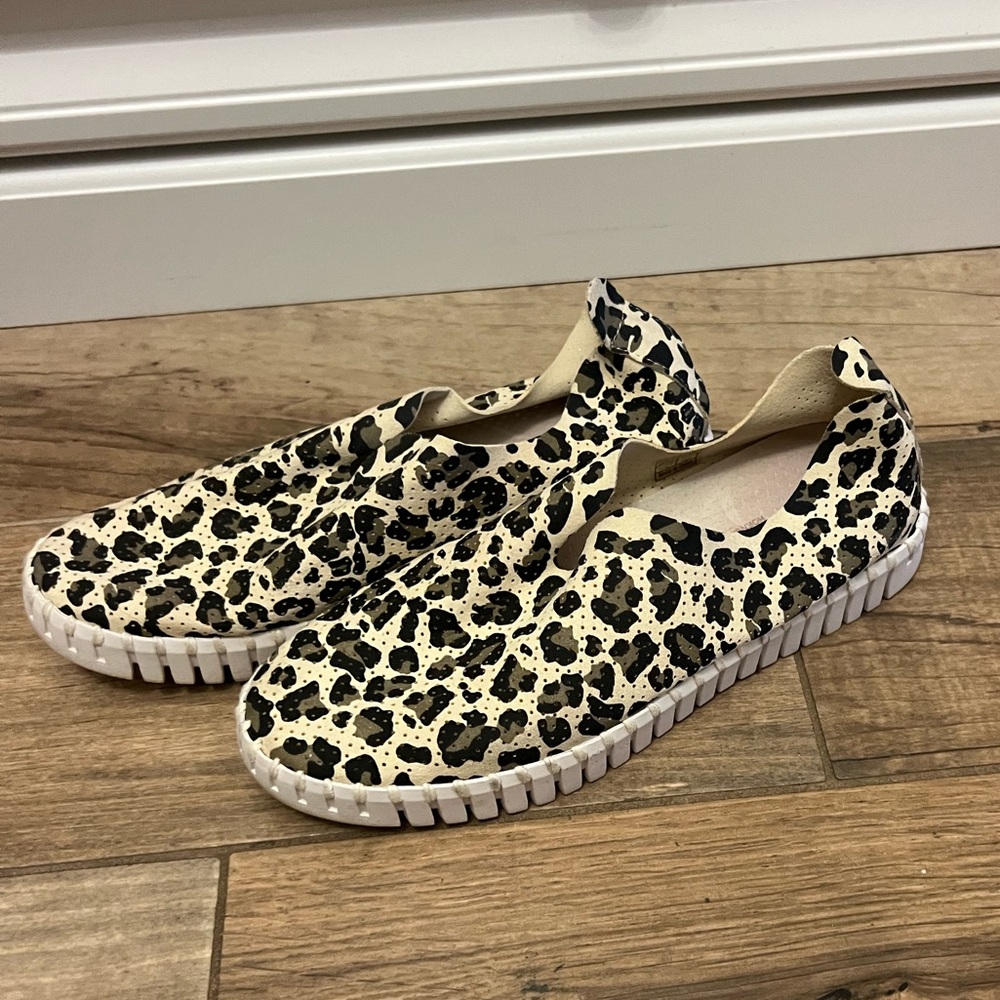 ILSE JACOBSEN TULIP 36 leopard